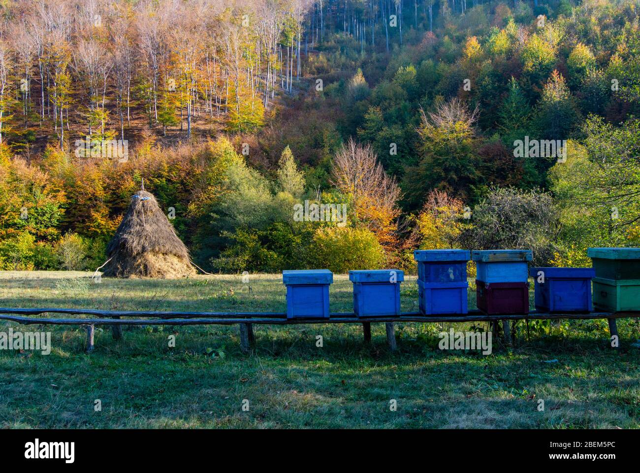 Un paysage paisible quelque part dans la forêt, un défrichement dans une zone rurale avec une haystack et plusieurs ruches placées dans la nature pour que les abeilles puissent se recueillir Banque D'Images