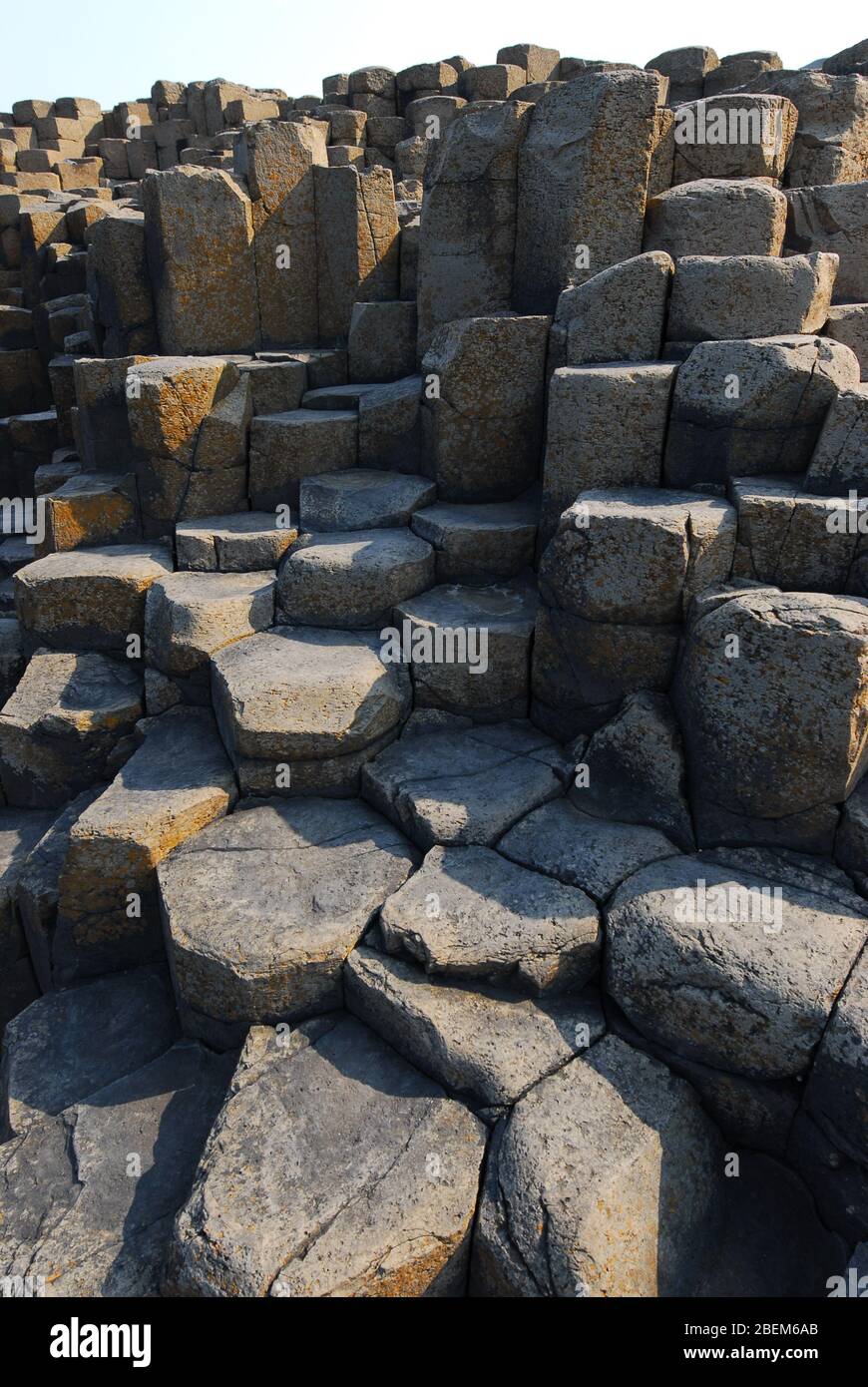 Composition verticale des pierres à Giant's Causeway, Antrim Coast, Irlande du Nord, Royaume-Uni Banque D'Images