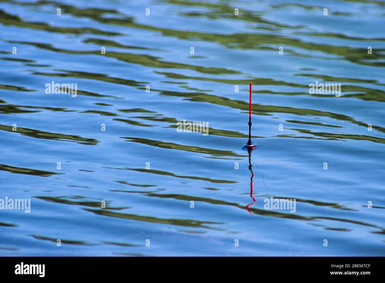 La pêche flottent sur l'eau en prévision de mordre Banque D'Images