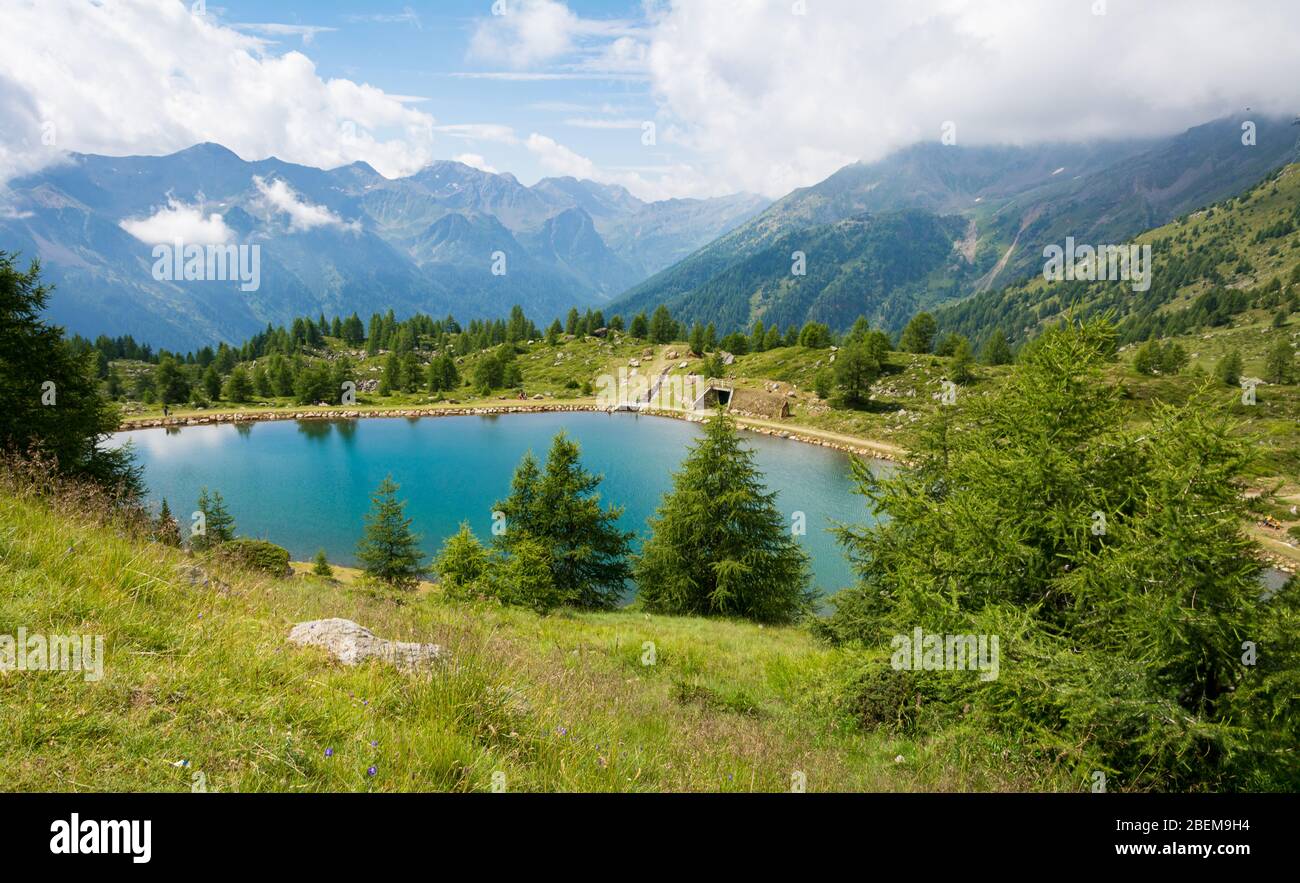 Vue estivale sur un petit lac dans la vallée de Pejo, Trentin-Haut-Adige, dans le nord de l'Italie Banque D'Images