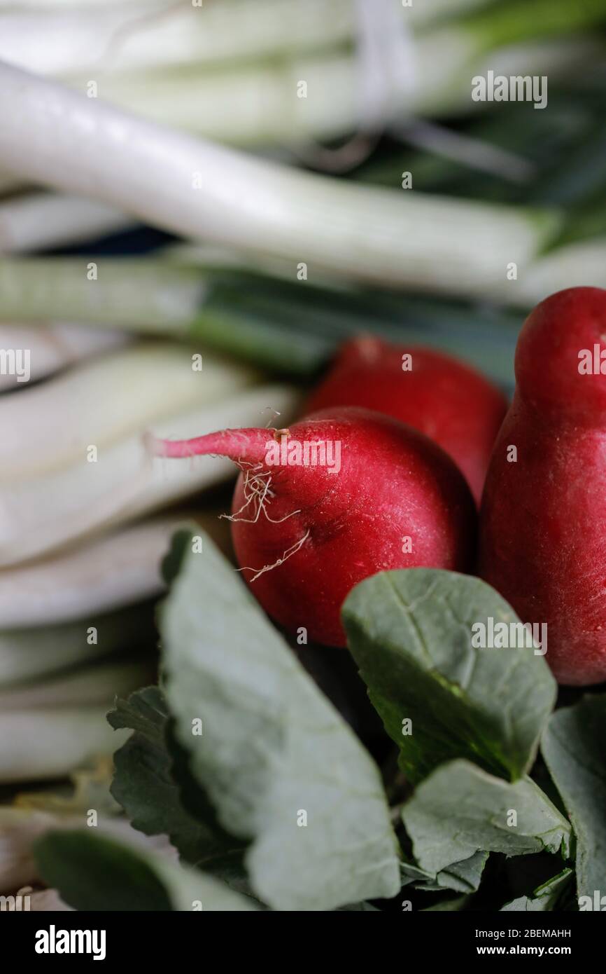 Image de faible profondeur de champ (foyer sélectif) avec des radis en vente dans un étalage de rue de légumes. Banque D'Images