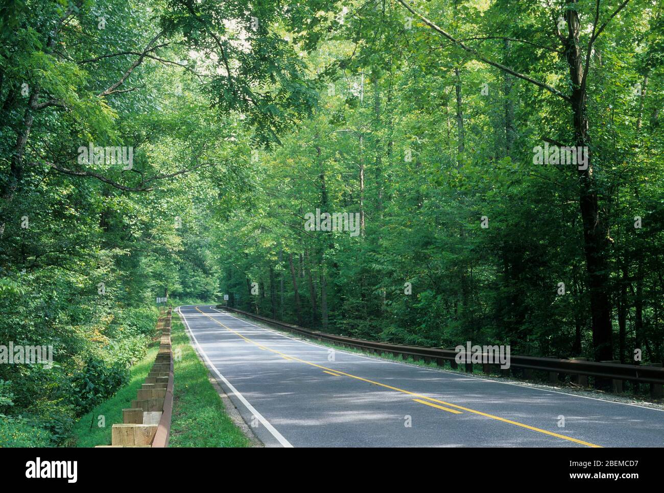 Mountain Waters Scenic Byway, Nantahala National Forest, Caroline du Nord Banque D'Images