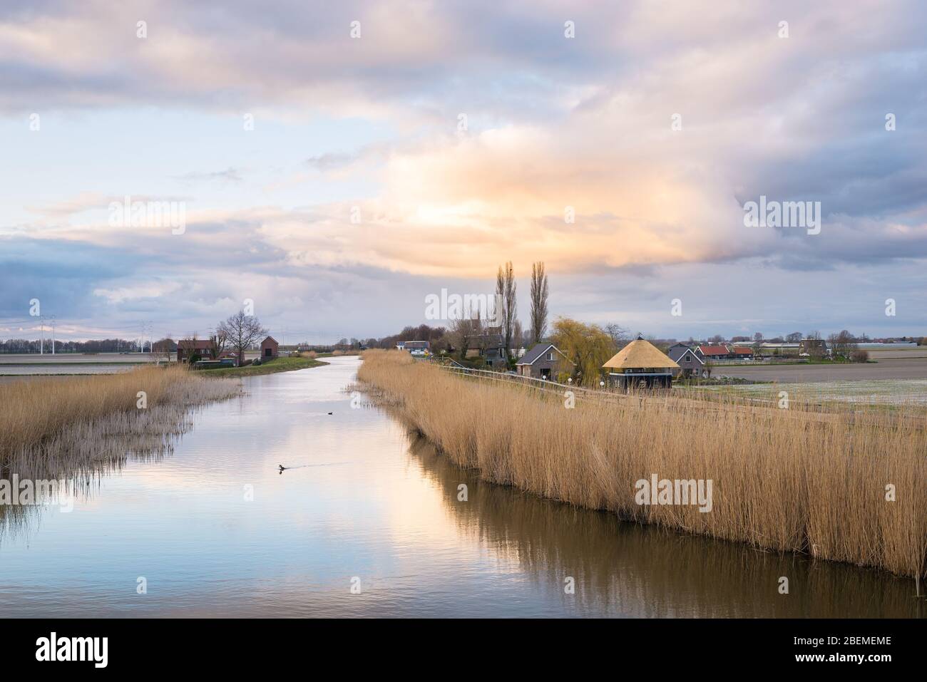 Vue panoramique sur la campagne néerlandaise au bord de la rivière Rotte, aux Pays-Bas au coucher du soleil Banque D'Images