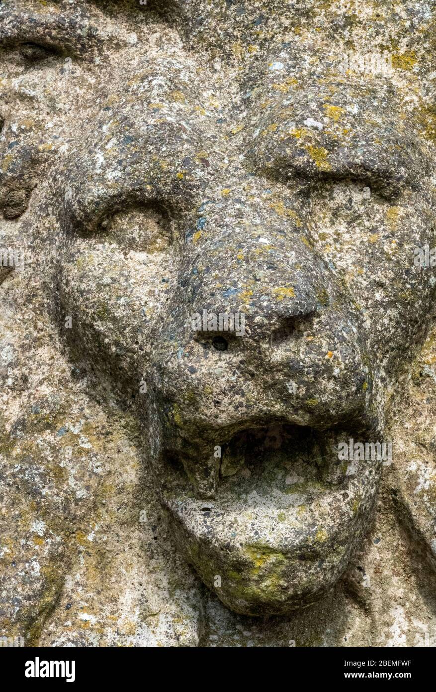 une sculpture en grès antique d'une tête de lions recouverte de mousse et de gargouille de pierre patiné de lichen. Banque D'Images