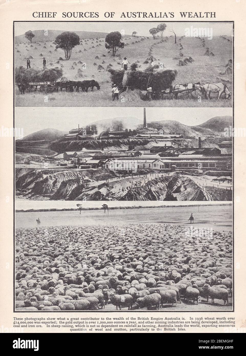 Photos noir et blanc des années 1930 anciennes de la contribution de l'Australie à l'Empire britannique du blé, de l'or, du charbon, du minerai de fer et de la laine et de la viande de mouton. Banque D'Images