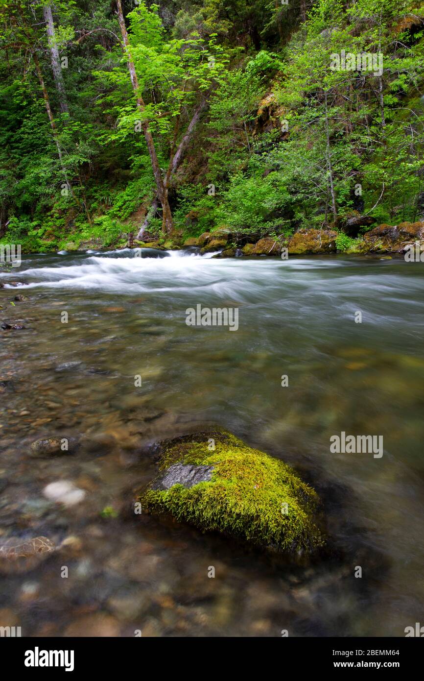 Pont et vue sur Sucker Creek au camping Grayback près du monument national des grottes de l'Oregon dans la forêt nationale de Siskiyou Banque D'Images