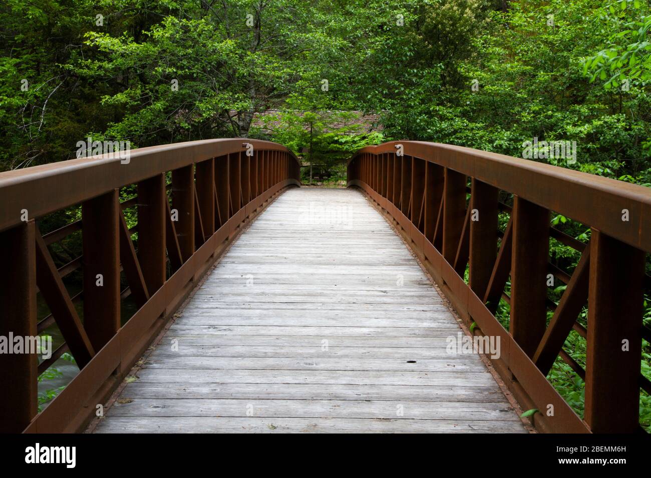 Pont et vue sur Sucker Creek au camping Grayback près du monument national des grottes de l'Oregon dans la forêt nationale de Siskiyou Banque D'Images