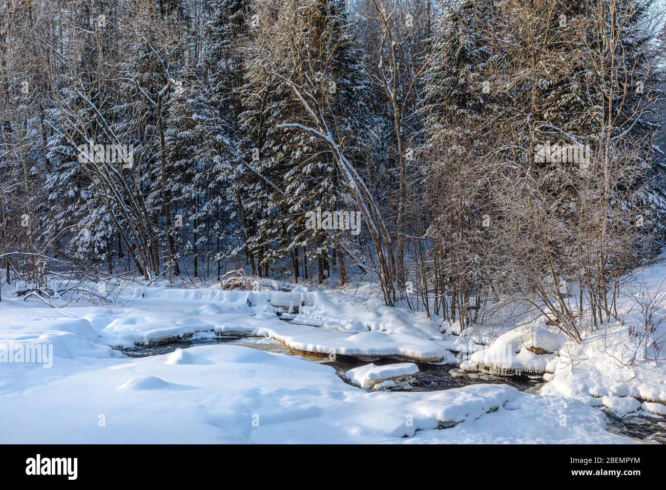 La fourche est de la rivière Chippewa dans le nord du Wisconsin. Banque D'Images