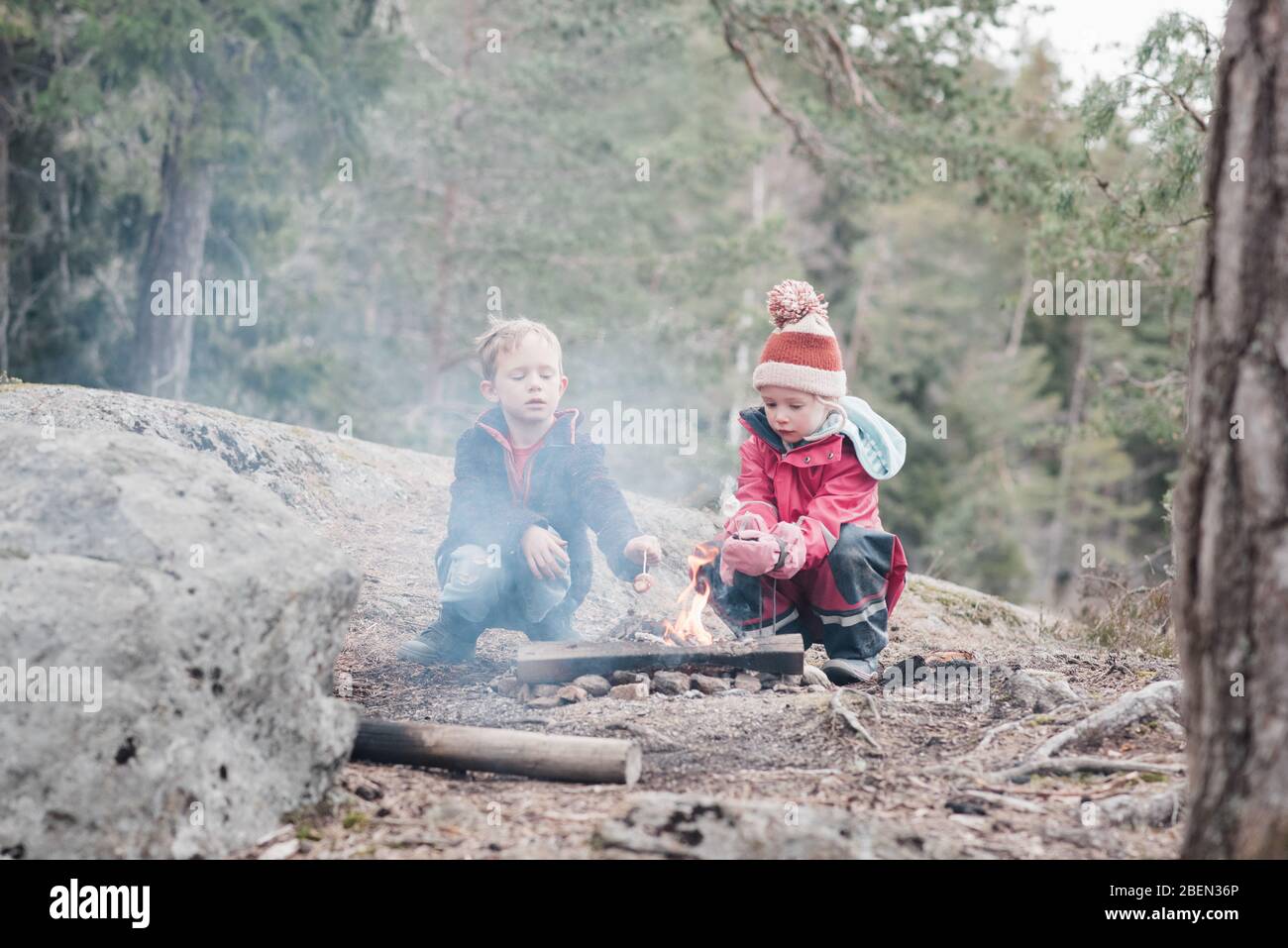 Frères et sœurs cuisant des guimauves sur un feu de camp en Suède Banque D'Images