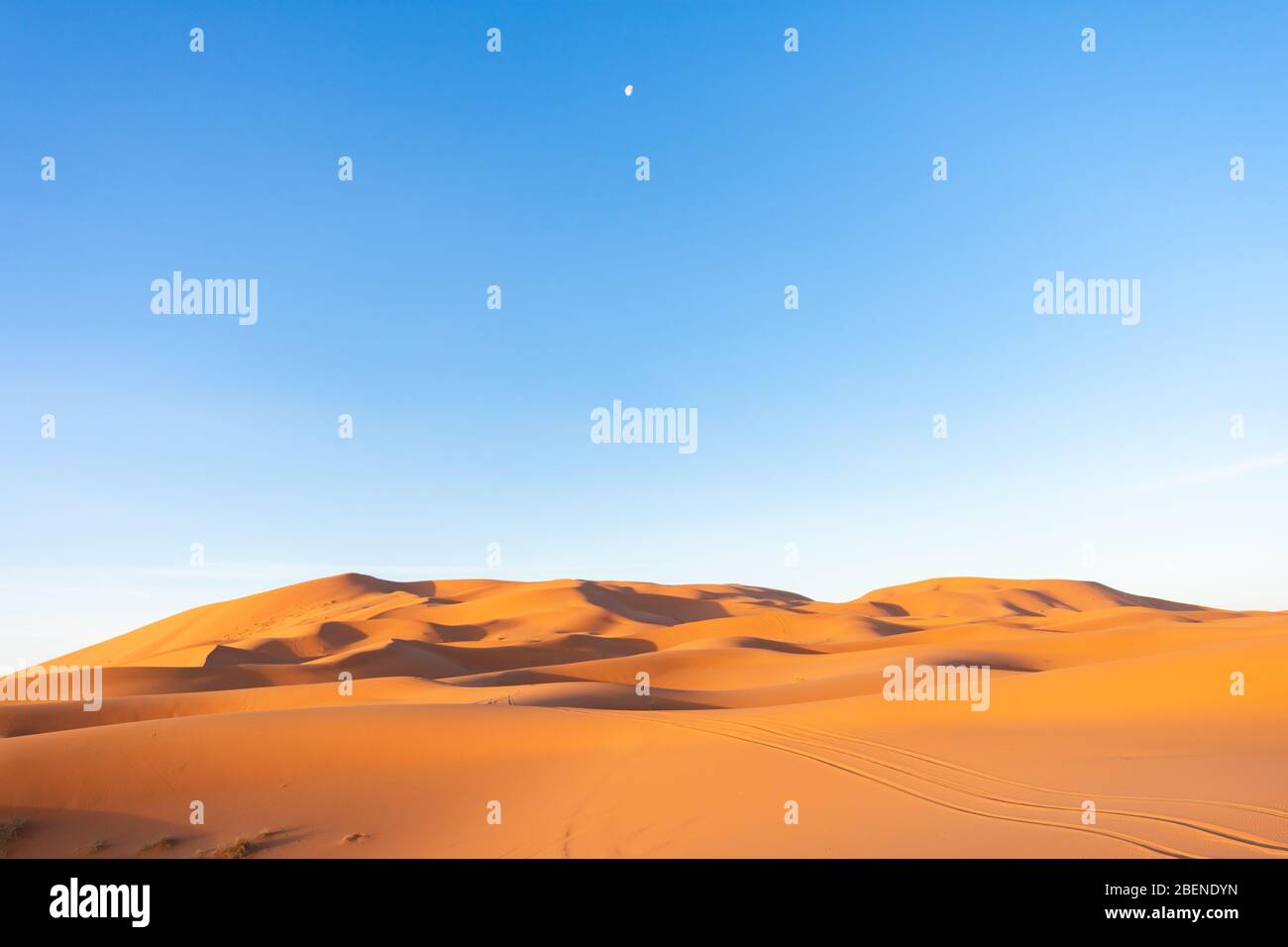 Dunes de sable dans le désert du Sahara pendant la matinée avec la Lune dans le ciel Banque D'Images