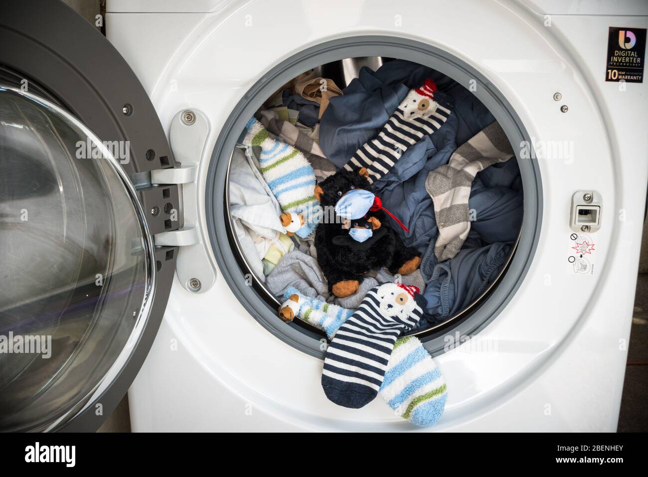 Ours en peluche et son bébé avec masque protecteur sur le point d'être lavé dans la machine à laver avec l'expression de démission pour une éventuelle infection par le coronavir Banque D'Images