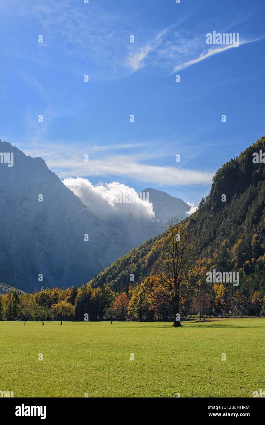 Magnifique paysage d'automne de Logar Valley (Logarska dolina) en Slovénie; photo verticale, photographie de voyage Banque D'Images