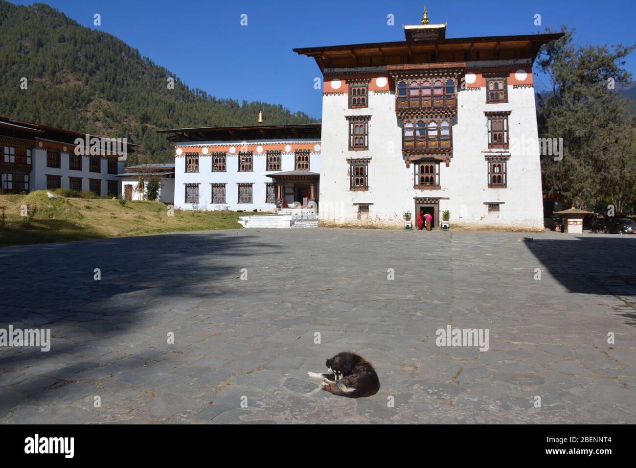 Une école pour les moines bouddhistes près de Thimphu, Bhoutan. Banque D'Images