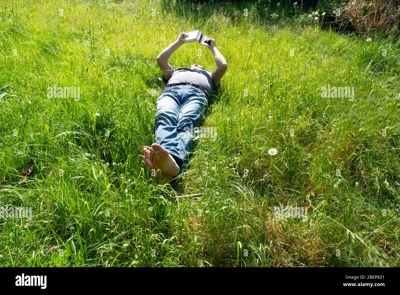 Homme couché sur l'herbe en été Banque de photographies et d'images à haute  résolution - Alamy