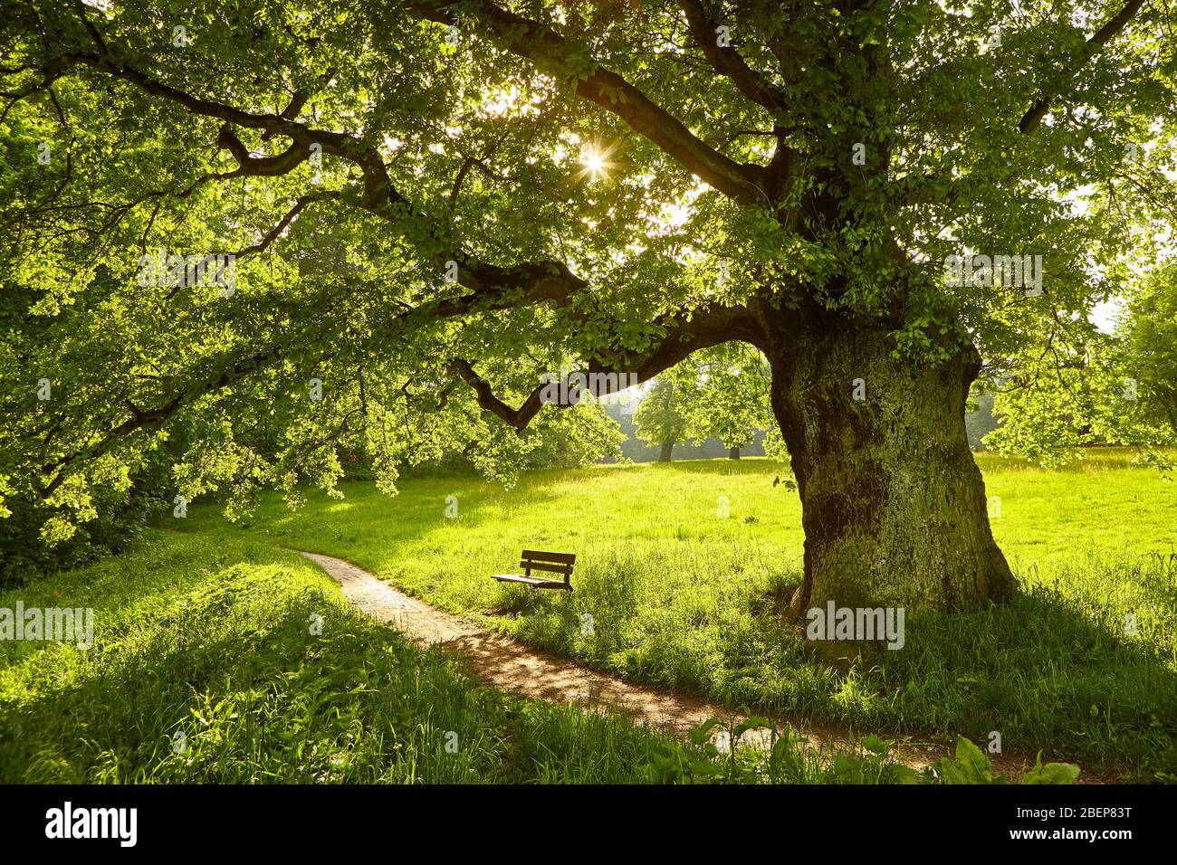 Parc jenisch Banque de photographies et d’images à haute résolution - Alamy