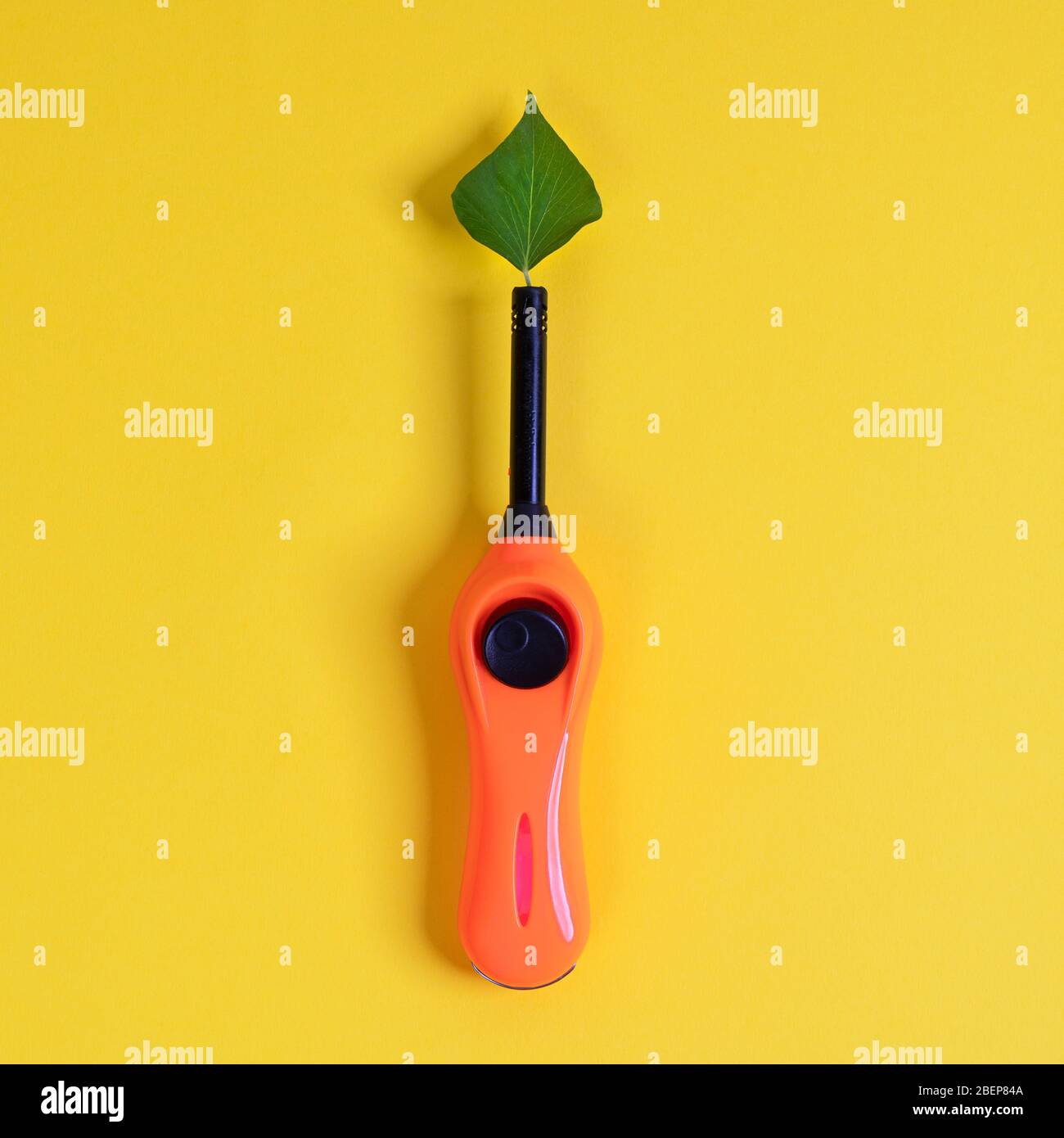 un briquet avec une feuille en forme de flamme Banque D'Images