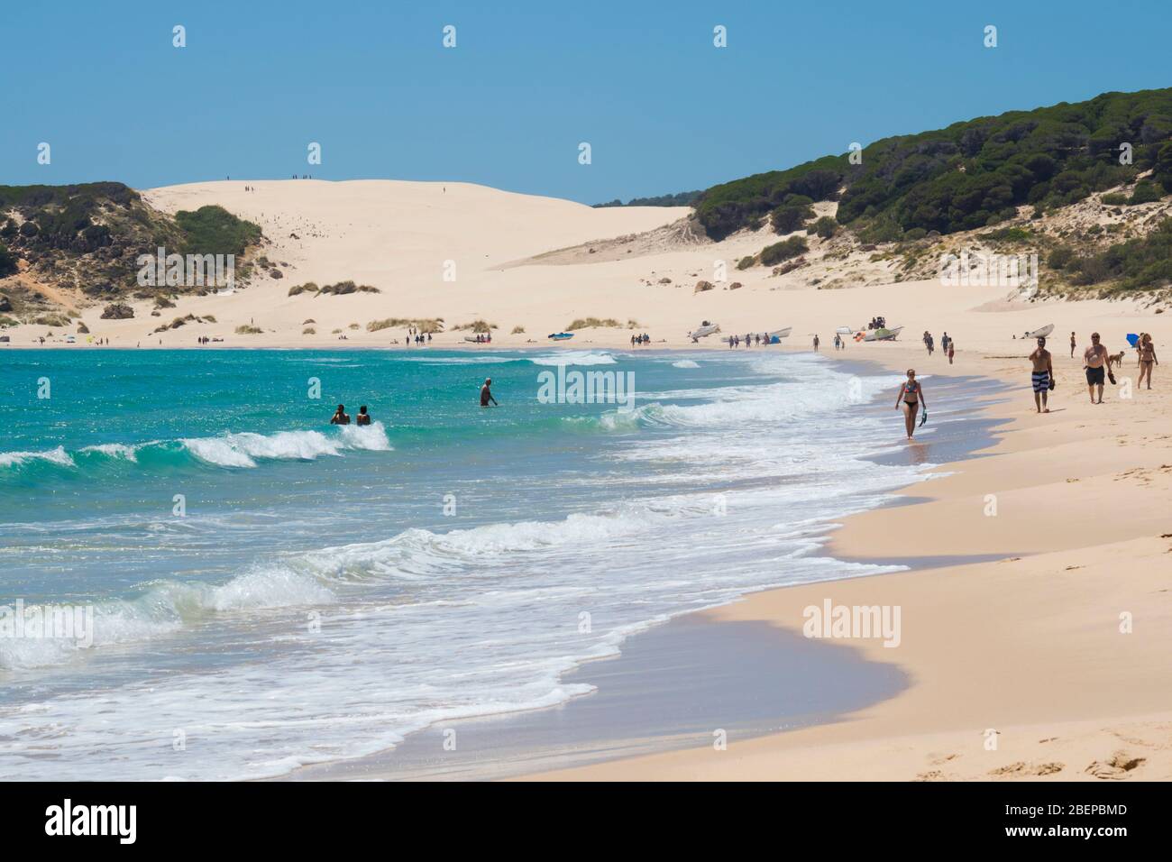 Bolonia, Costa de la Luz, Province de Cadiz, Andalousie, Espagne du sud. Plage de Bolonia. Playa de Bolonia. Dans l'arrière-plan est la dune de sable de Bolonia, o Banque D'Images