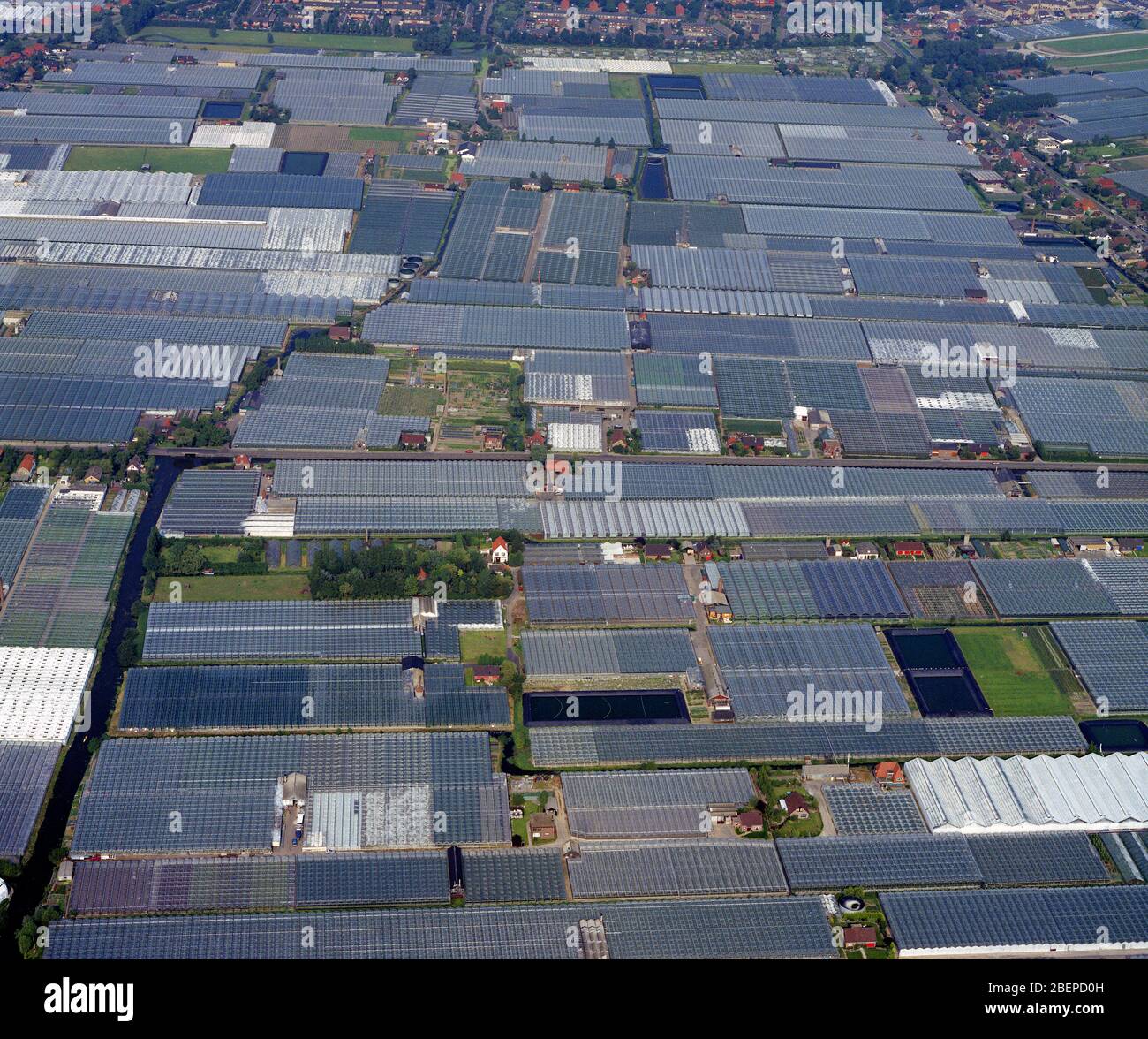 Wateringen, région de Westland, Hollande, 08 août 1988 : photo aérienne historique des serres ou des serres dans la région de Westland pour horticult Banque D'Images