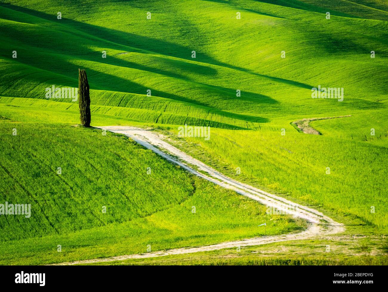 Magnifique panorama du coucher du soleil dans les collines de Toscane. Banque D'Images