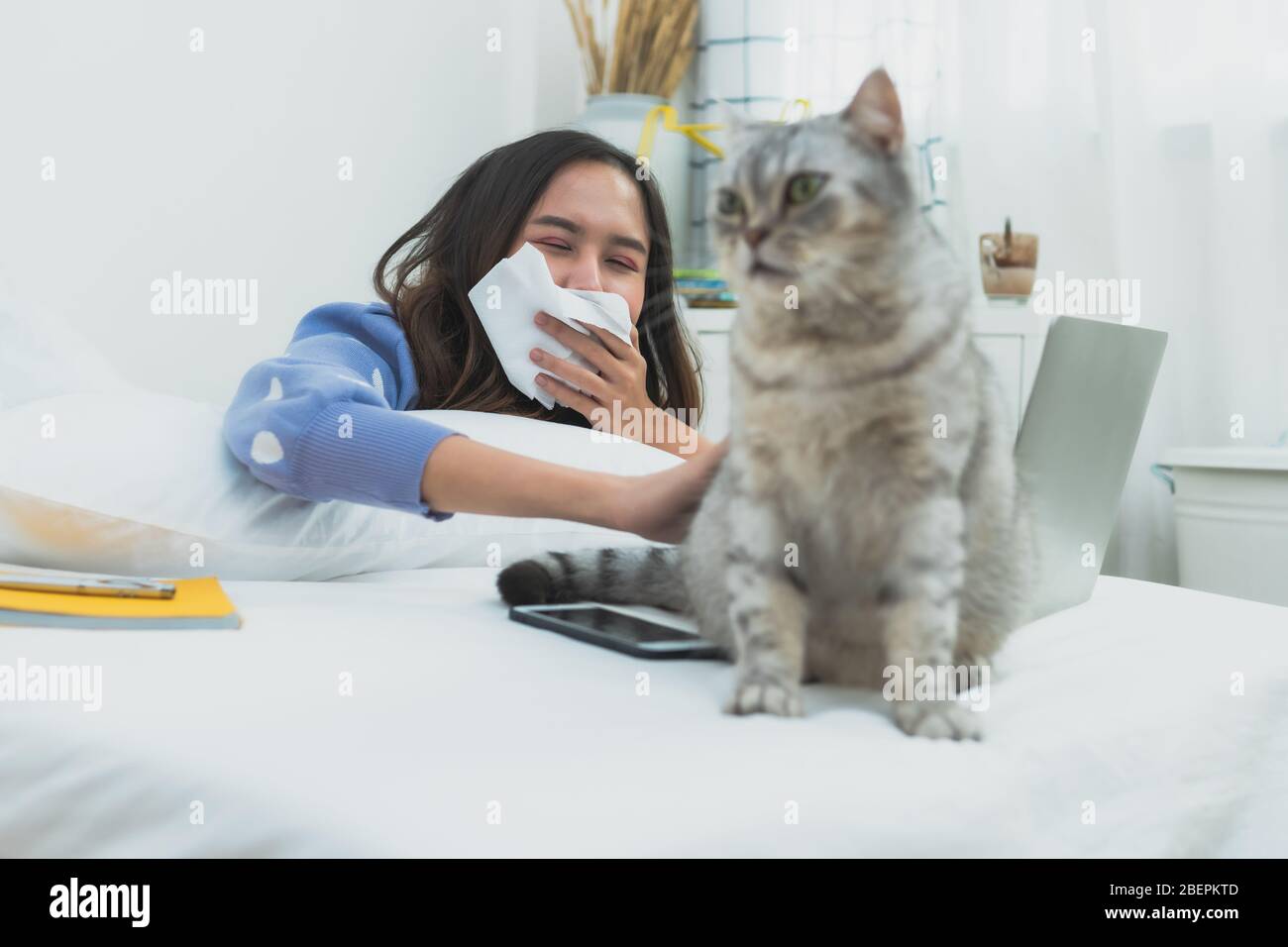 Les allergies chez Cat, les maladies des femmes utilisent des tissus pour fermer le nez afin de protéger le spot comme travaillant sur un ordinateur portable dans la chambre Banque D'Images