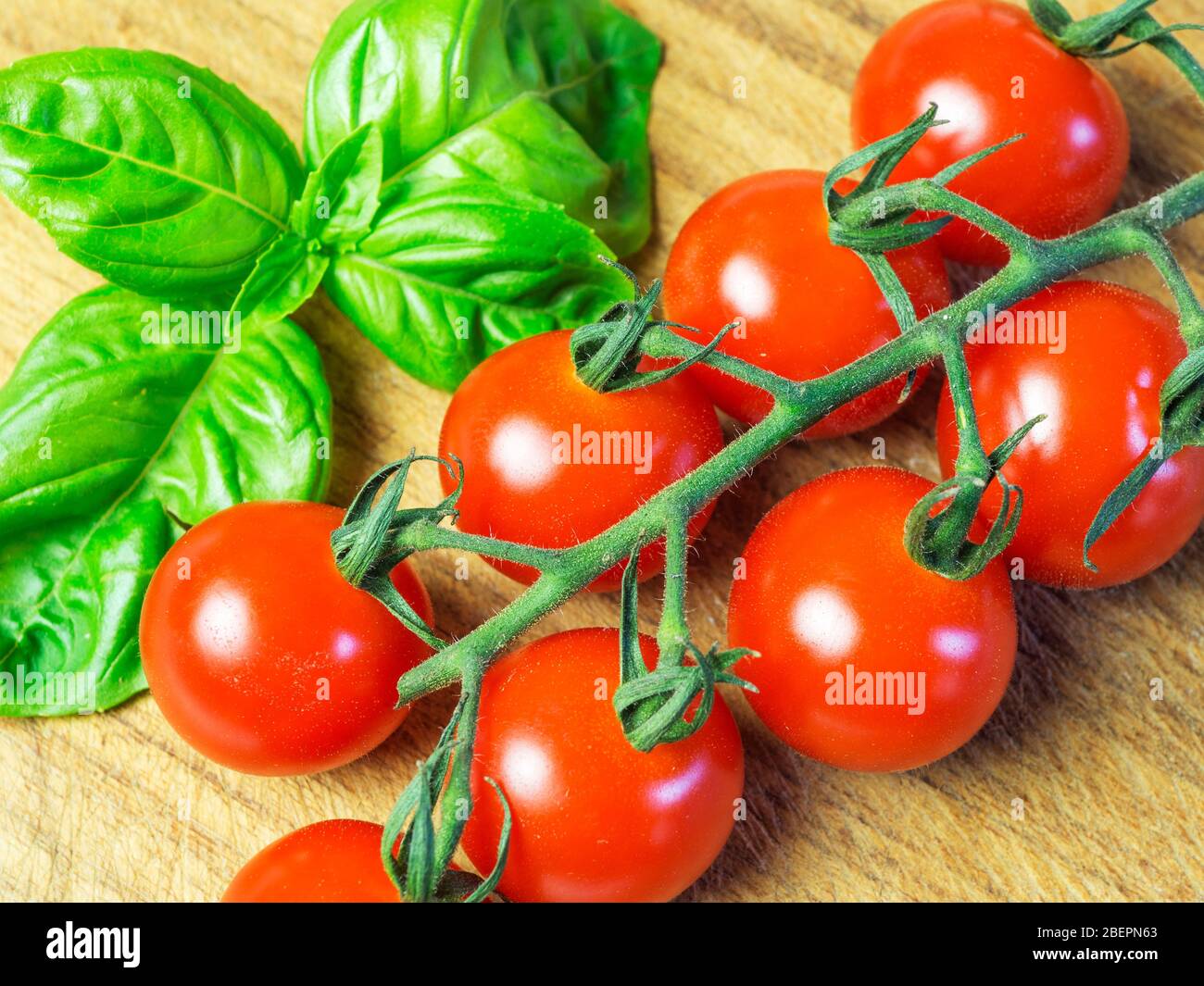 Tomates cerises Vittoria sur la vigne avec feuilles de basilic frais sur une planche à découper en bois Banque D'Images