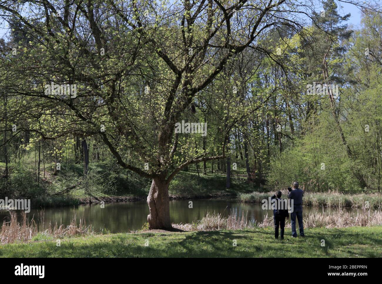 Le Parc du peuple botanique Blankenfelde-Pankow à Berlin, pris le 22 avril 2019, offre des bâtiments et des jardins d'art énumérés à partir du début du XXe siècle sur une superficie de 34 hectares. Le parc a été fondé en 1909 comme jardin d'école et centre de jardin pour la ville de Berlin. De nombreuses serres ont été construites jusqu'en 1928/29. Photo: Peter Zimmermann | usage dans le monde entier Banque D'Images