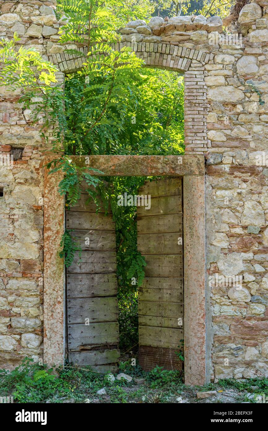 Les plantes poussent à travers la porte avant d'une maison abandonnée de la vallée du papier-Mill Banque D'Images