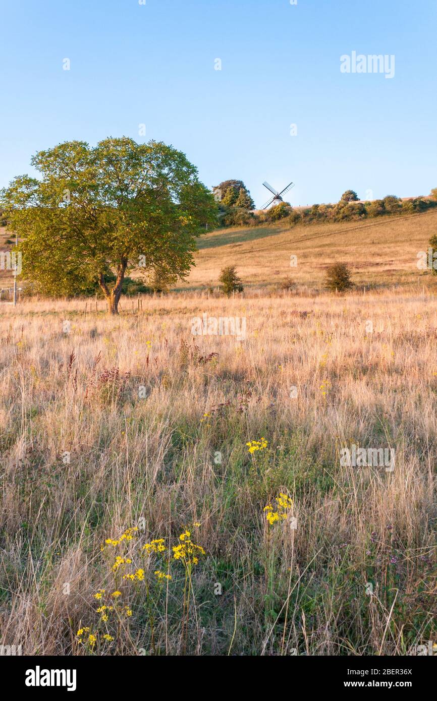 Cobstone Windmill, Ibstone, surplombant le village de Turville, Buckinghamshire, Angleterre, GB, Royaume-Uni. Banque D'Images