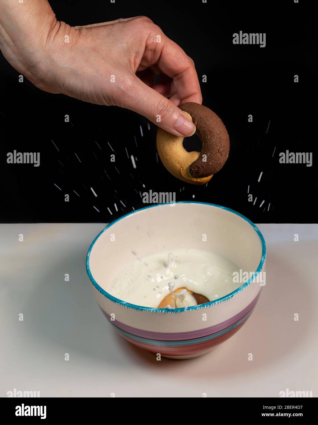 Une main féminine jette des biscuits ronds à deux tons dans une tasse de lait, éclaboussant le liquide, sur un fond noir et blanc Banque D'Images