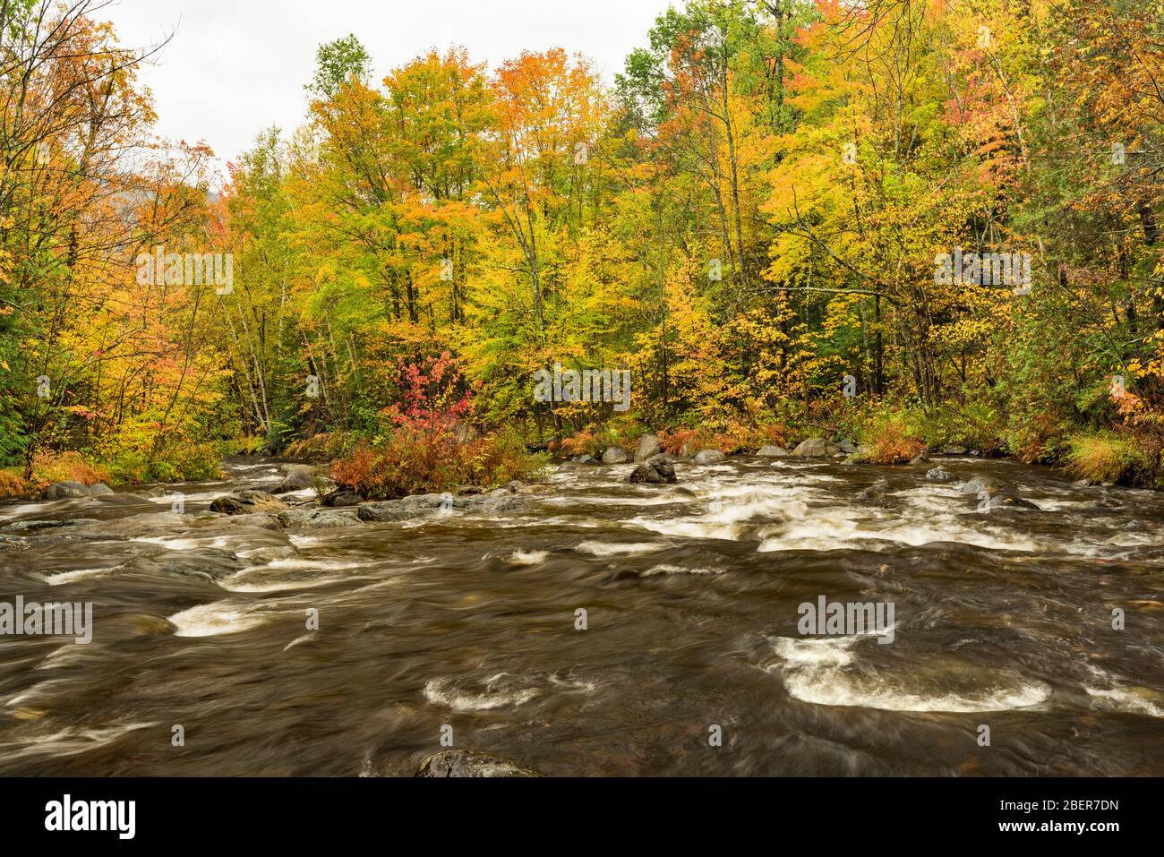 Hoffman Notch Brook en automne, près du nord de l'Hudson, comté d'Essex, NY Banque D'Images