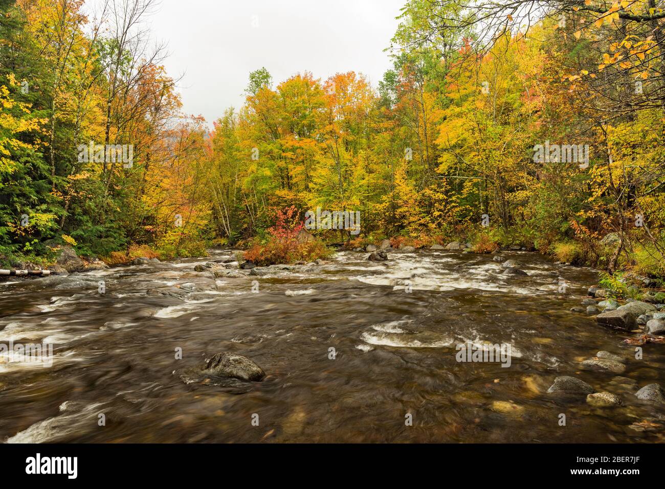 Hoffman Notch Brook en automne, près du nord de l'Hudson, comté d'Essex, NY Banque D'Images