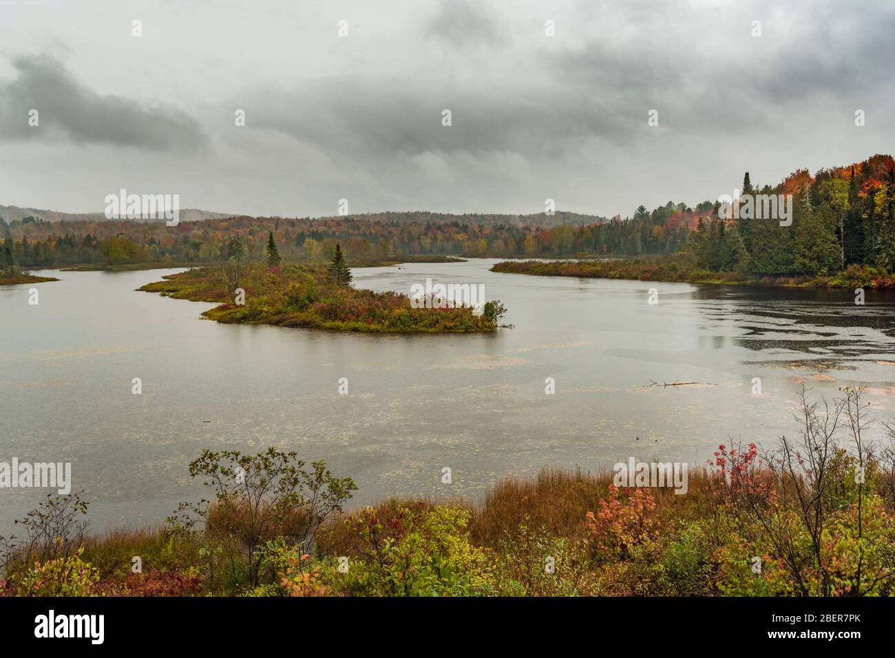 Tombez sur la rivière Hudson, Newcomb, comté d'Essex, NY Banque D'Images