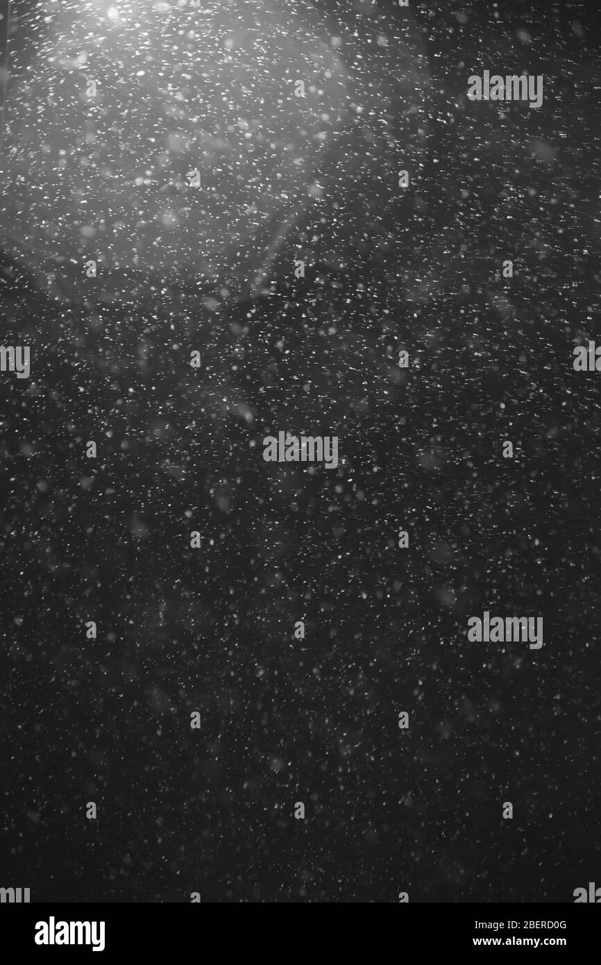 neige la nuit Banque D'Images