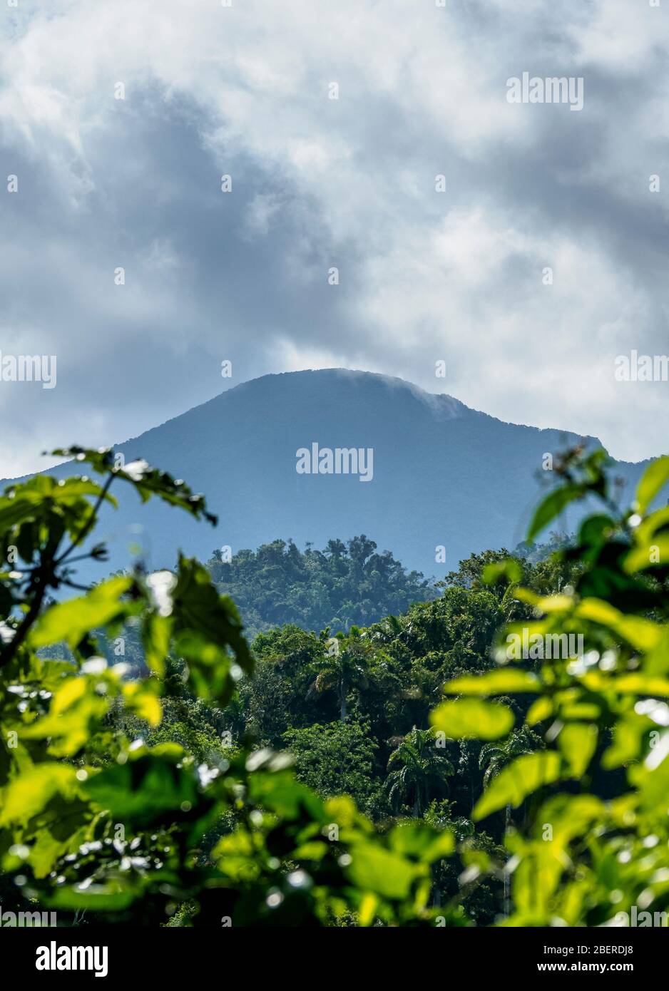 Pico Turquino, la plus haute montagne de Cuba, Sierra Maestra, Province de Santiago de Cuba, Cuba Banque D'Images