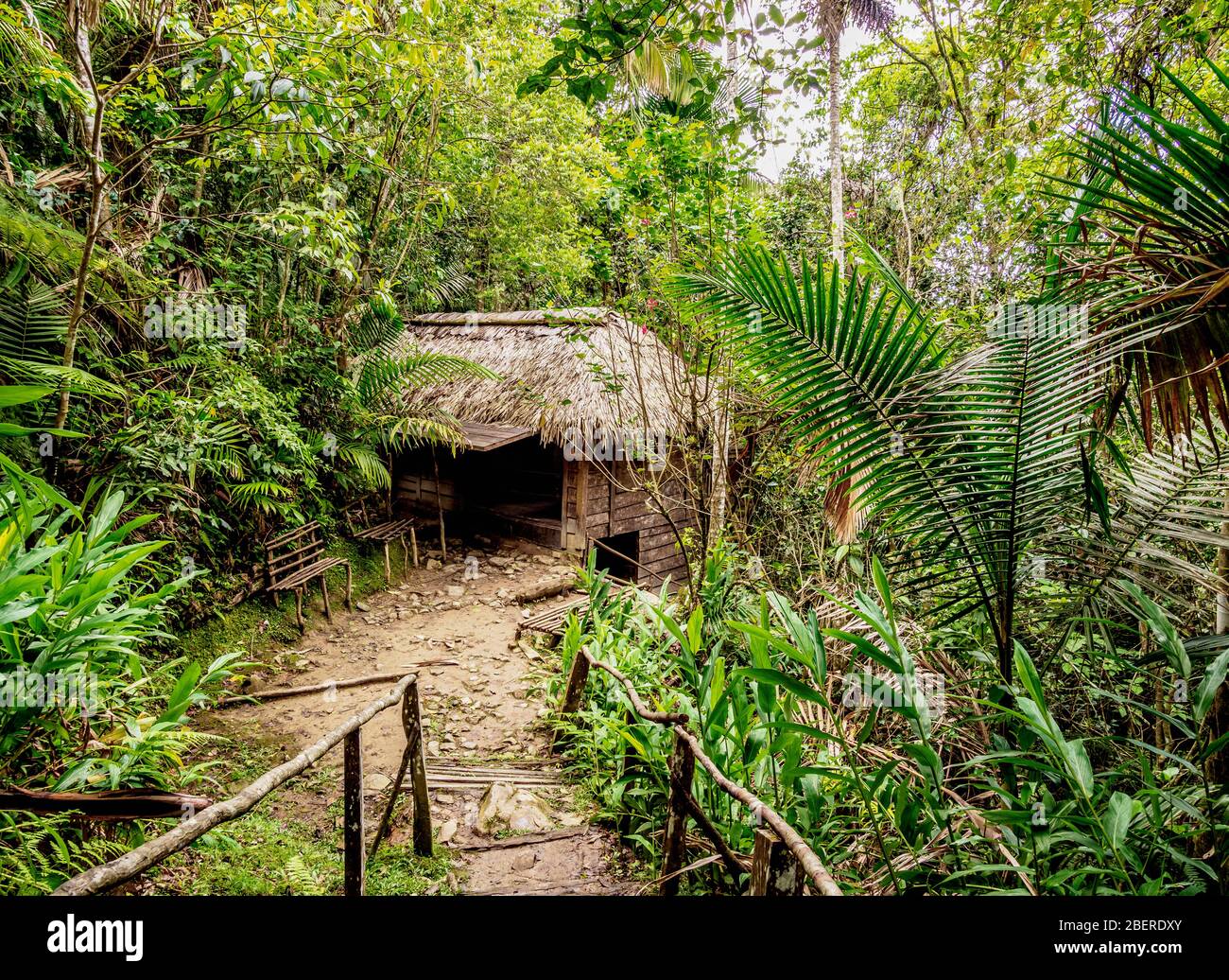 Casa de Fidel, Maison de Fidel Castro, Comandancia de la Plata, Sierra Maestra, province de Granma, Cuba Banque D'Images