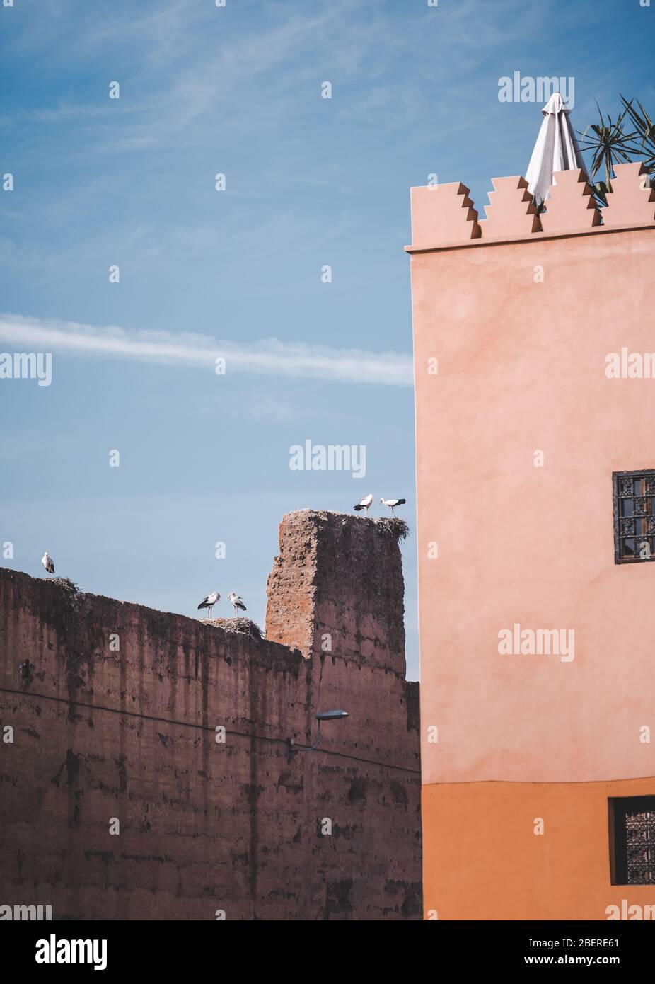 Deux Storks blancs sur un nid de bâton et bâtiment ruiné du palais de Badi dans la médina de Marrakech Maroc, Afrique du Nord. Banque D'Images