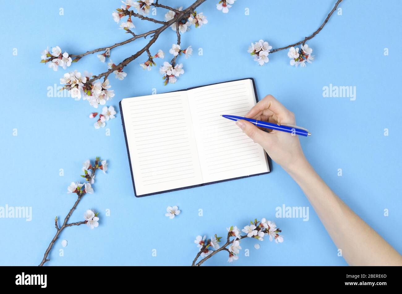 Fille écrivant la liste de souhaits pour les plans futurs. composition de plat avec fleurs, bloc-notes Banque D'Images