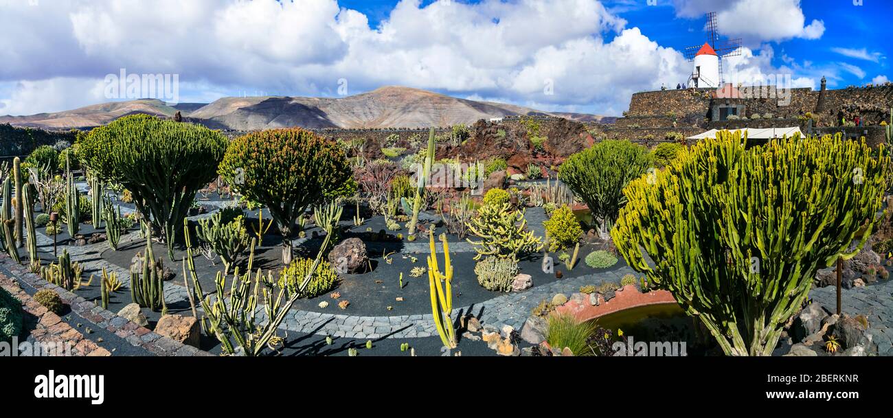 Beau jardin Cactus sur l'île de Lanzarote, Espagne. Banque D'Images