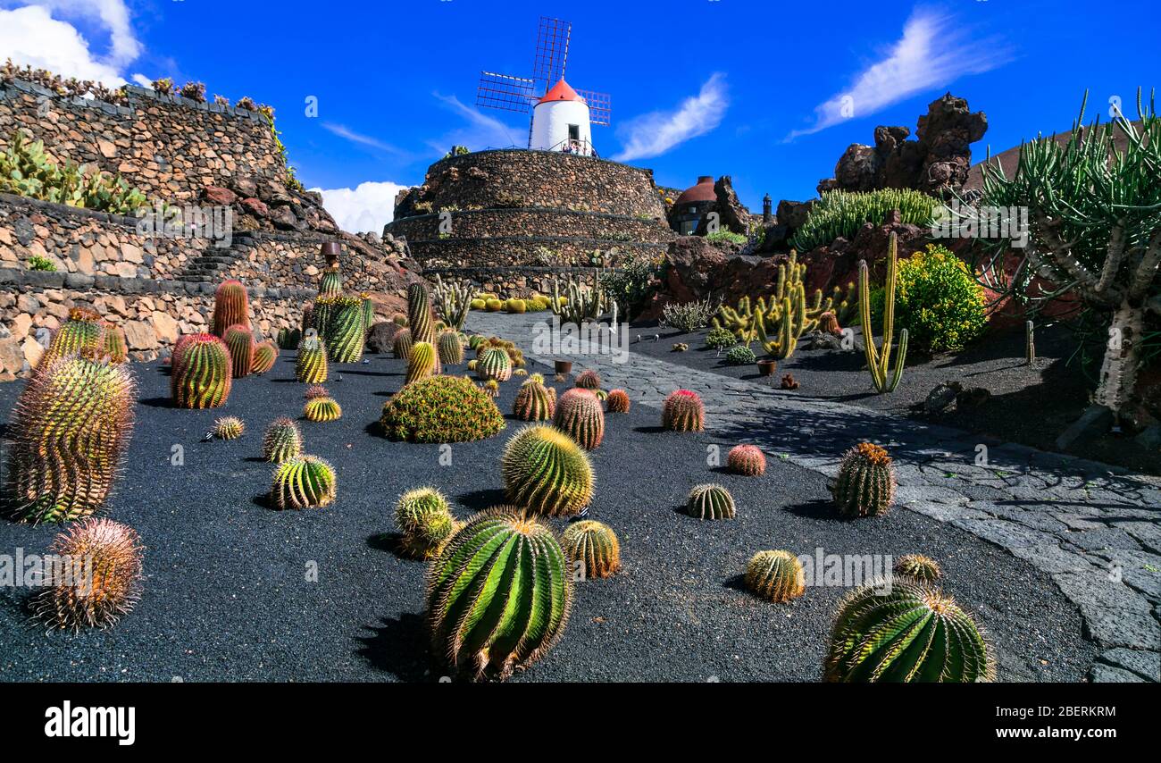 Célèbre jardin Cactus sur l'île de Lanzarote, Canaries, Espagne. Banque D'Images