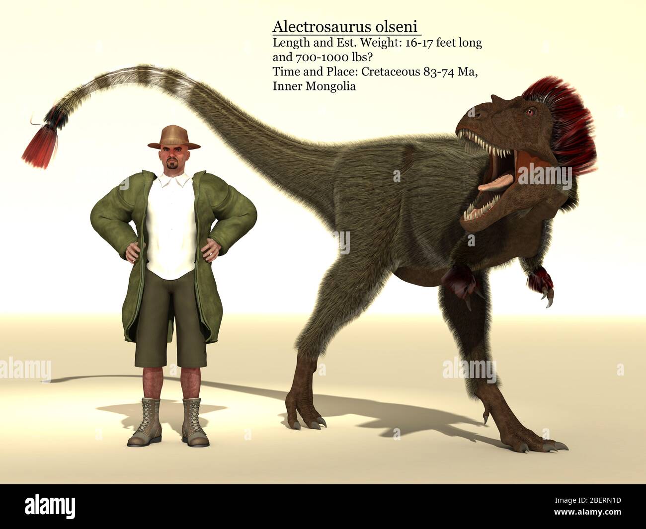 Tableau de référence de la taille des dinosaures d'Alectrosaurus. Banque D'Images