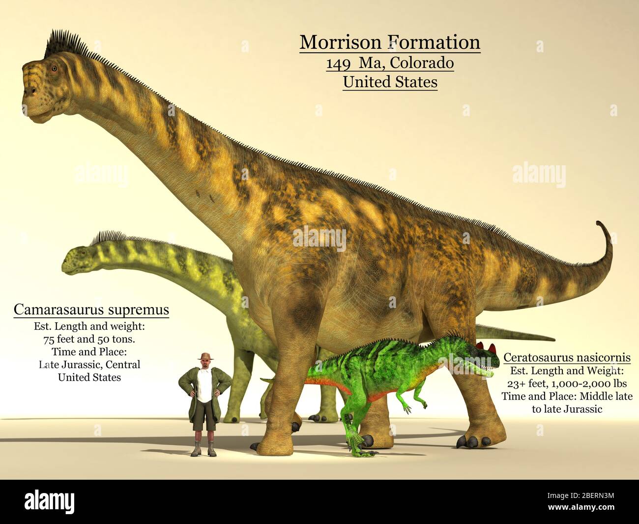 Tableau de comparaison des tailles Ceratosaure et Camarasaurus dinsoaur. Banque D'Images