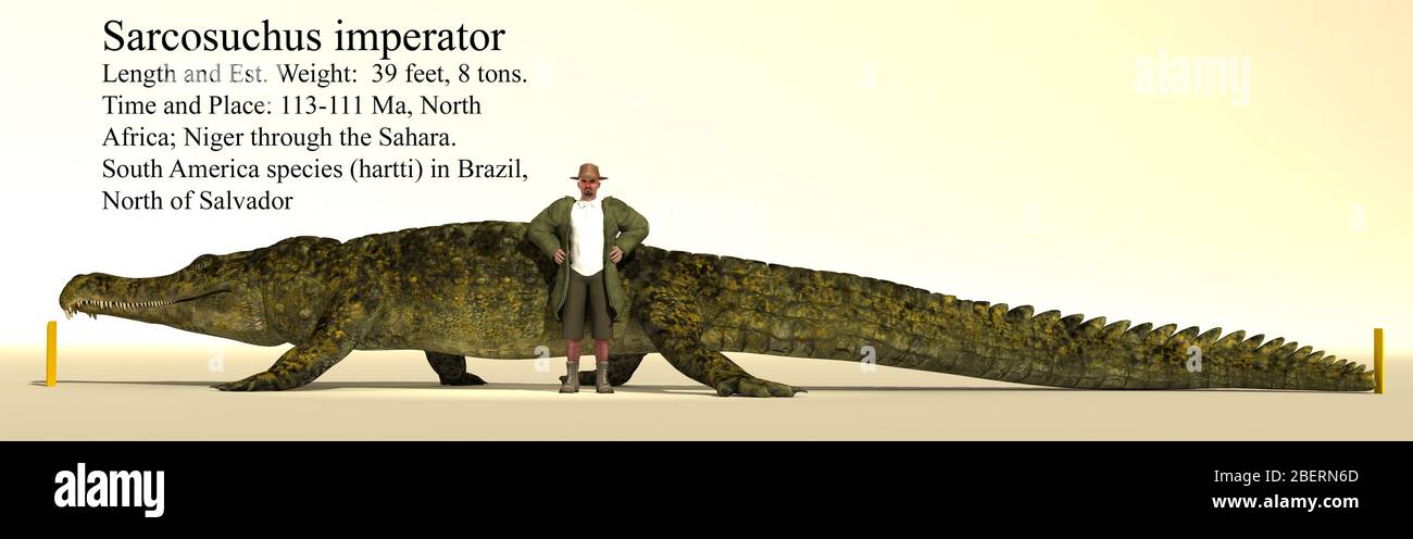 Tableau de référence de la taille de Sarcosuchus. Banque D'Images