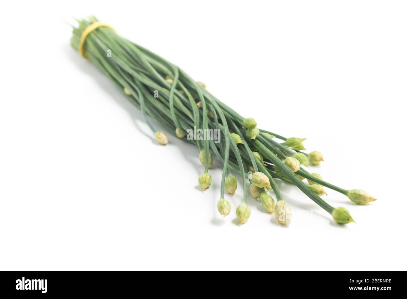 Fleur de ciboulette à l'ail. Nira isolé sur fond blanc Banque D'Images