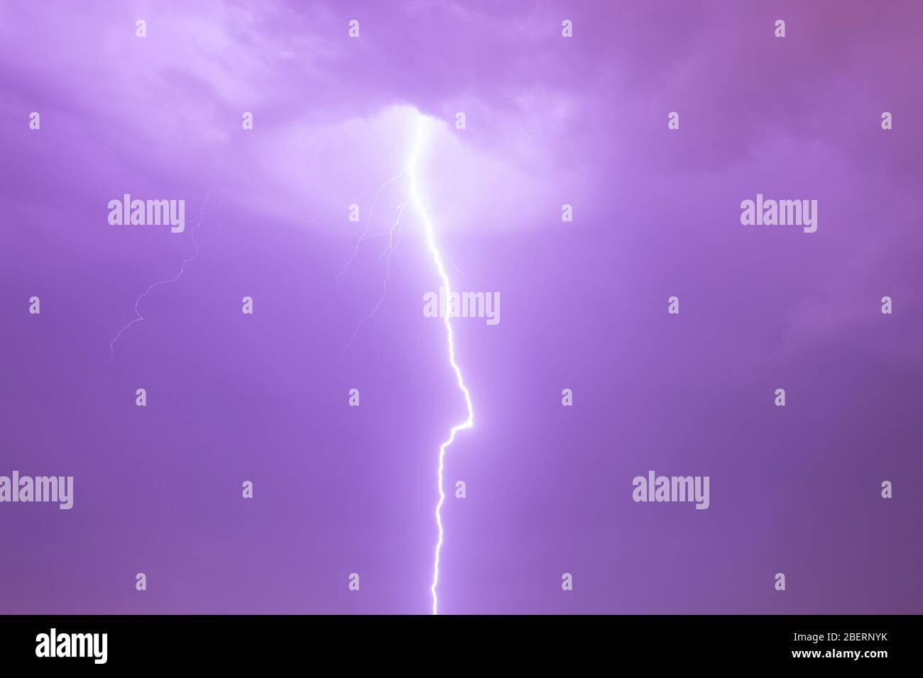 Décharge électrique directement en provenance de derrière un nuage dans le ciel de tempête avec activité éclair. Ciel en couleur pourpre (magenta). Foudre Staccato. Banque D'Images