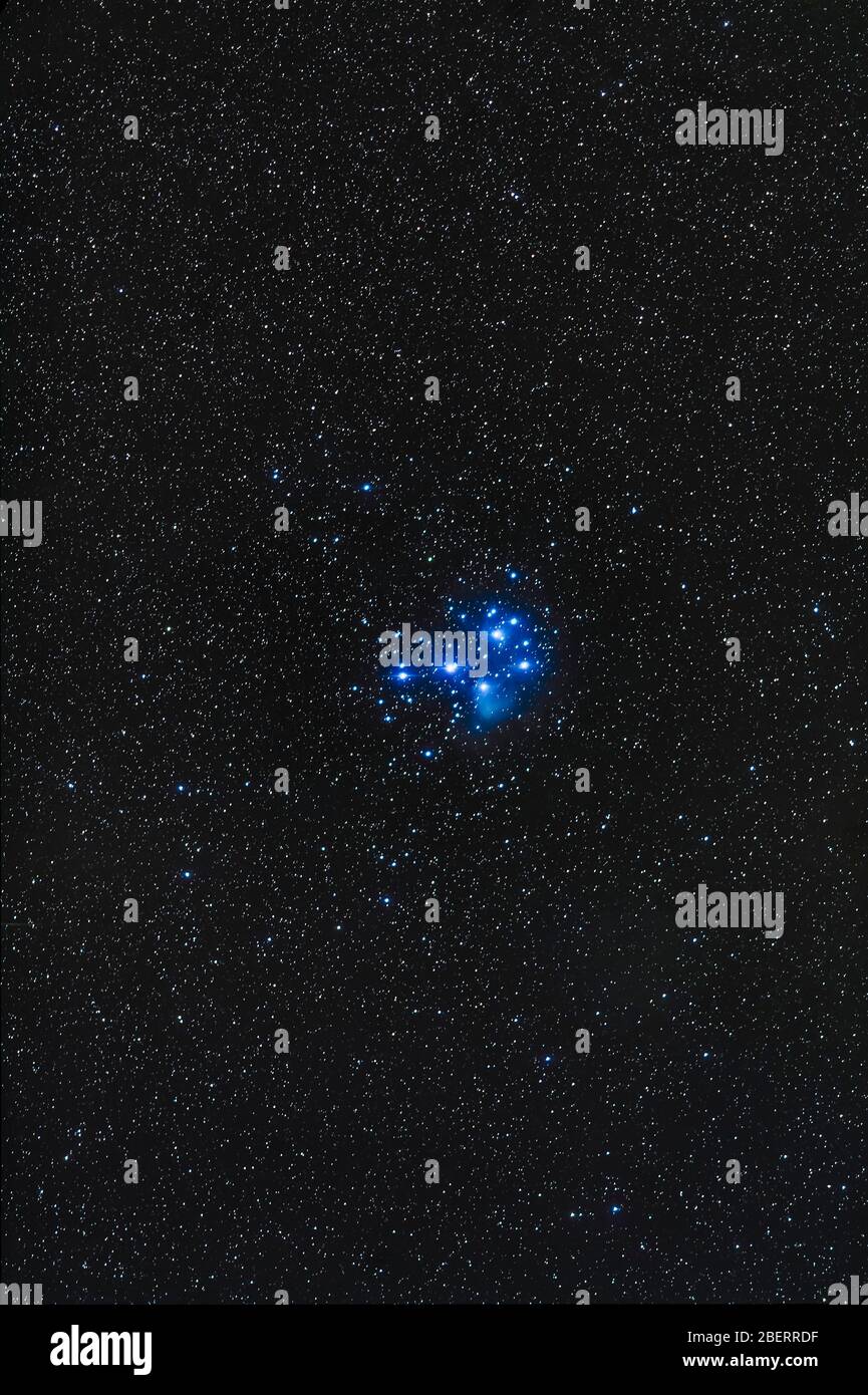 Le cluster Pleiades Star. Banque D'Images
