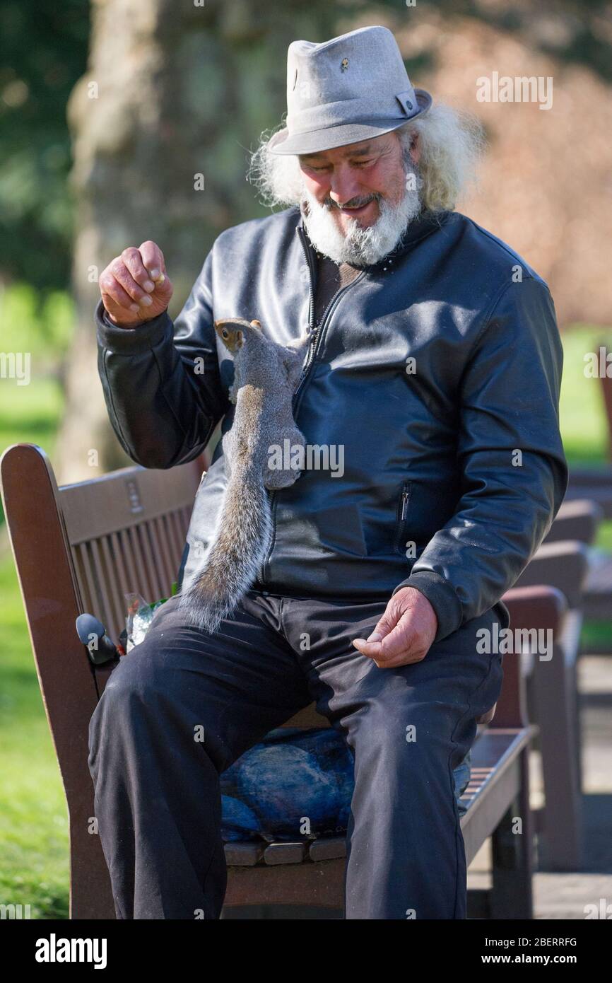 Trossachs, Royaume-Uni. 15 avril 2019. Photo : main d'homme alimentant un écureuil dans le parc. Scènes dans les jardins botaniques de Glasgow pendant le Lockdown de Coronavirus. Crédit : Colin Fisher/Alay Live News Banque D'Images