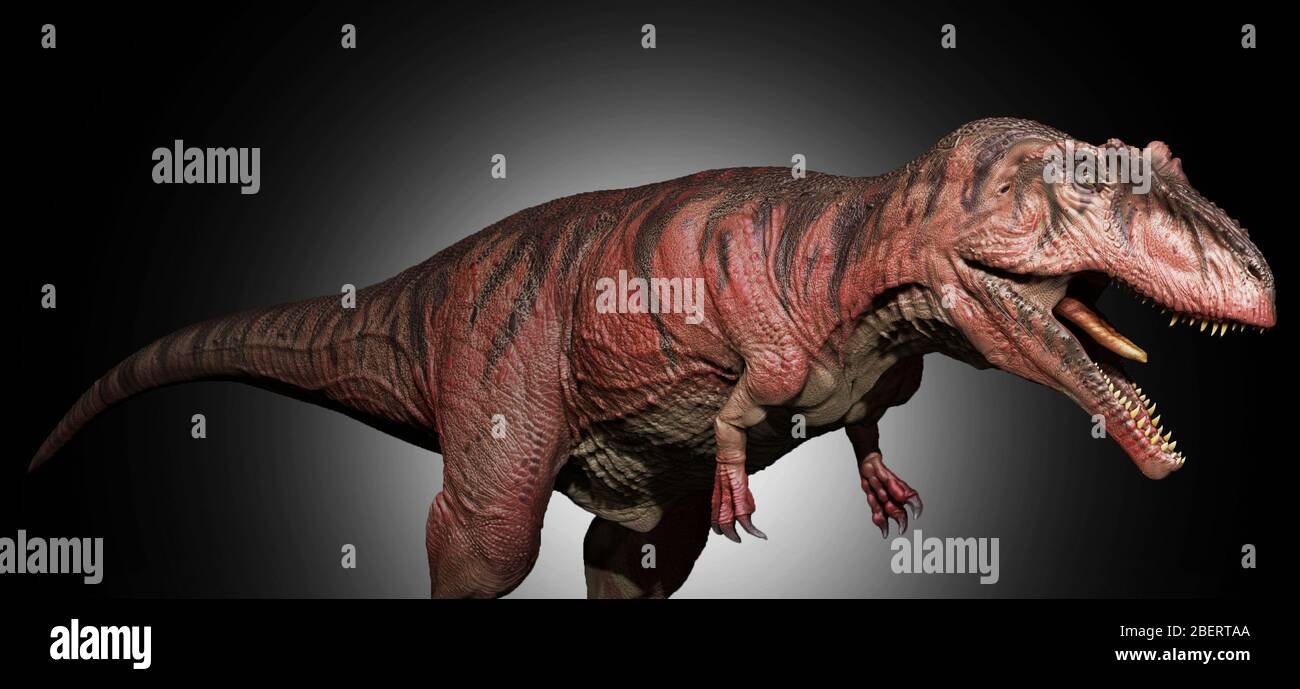 Dinosaure de Giganotosaurus, vue latérale. Banque D'Images