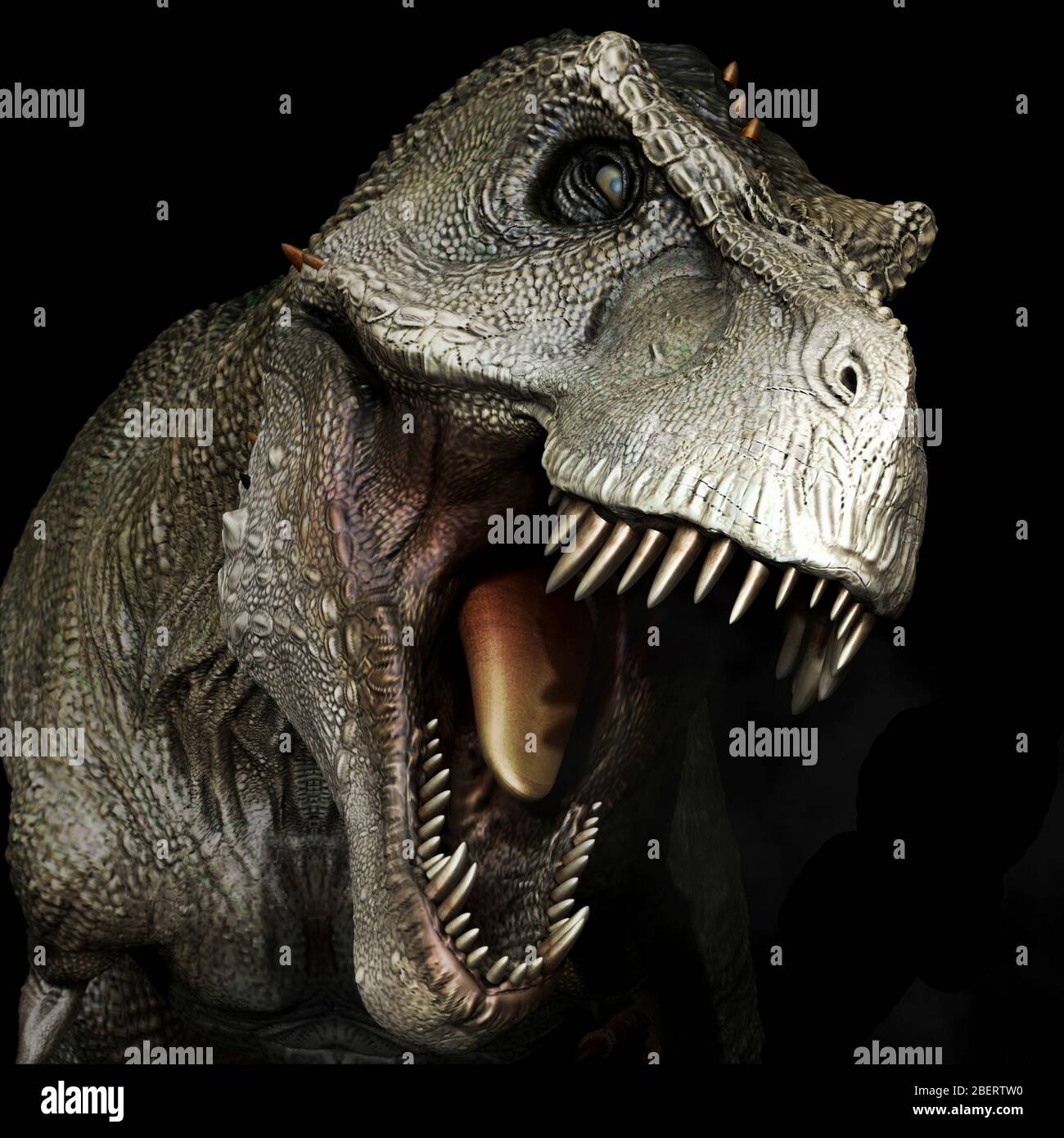 Tête de dinosaure Tyrannosaure rex, vue avant Photo Stock Alamy — free download