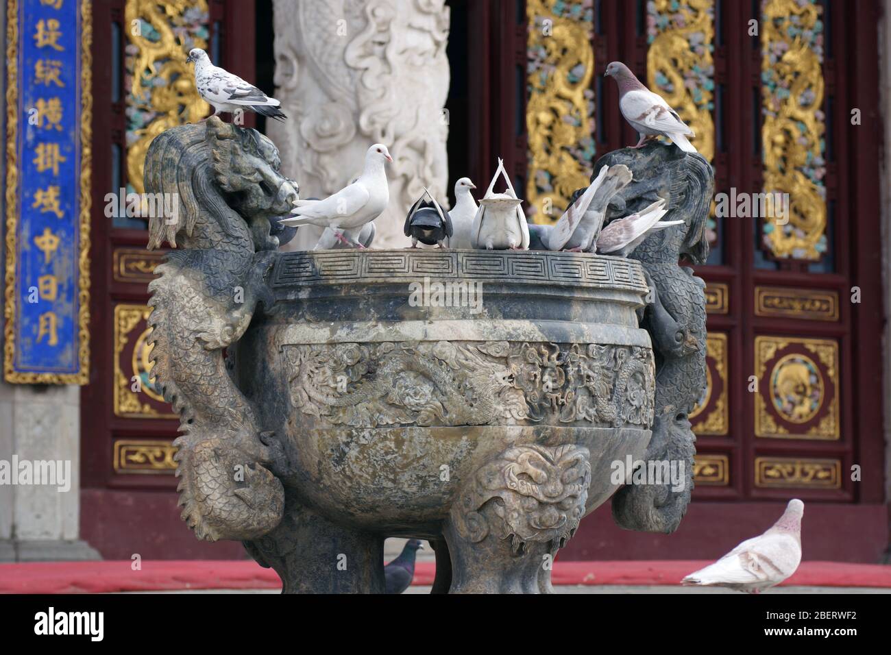 Bol en pierre sculpté avec de l'eau sur le territoire du parc de Bouddha de Jade, Anshan, province de Liaoning, Chine, Asie. Les pigeons se rassemblent dans le bol. Banque D'Images