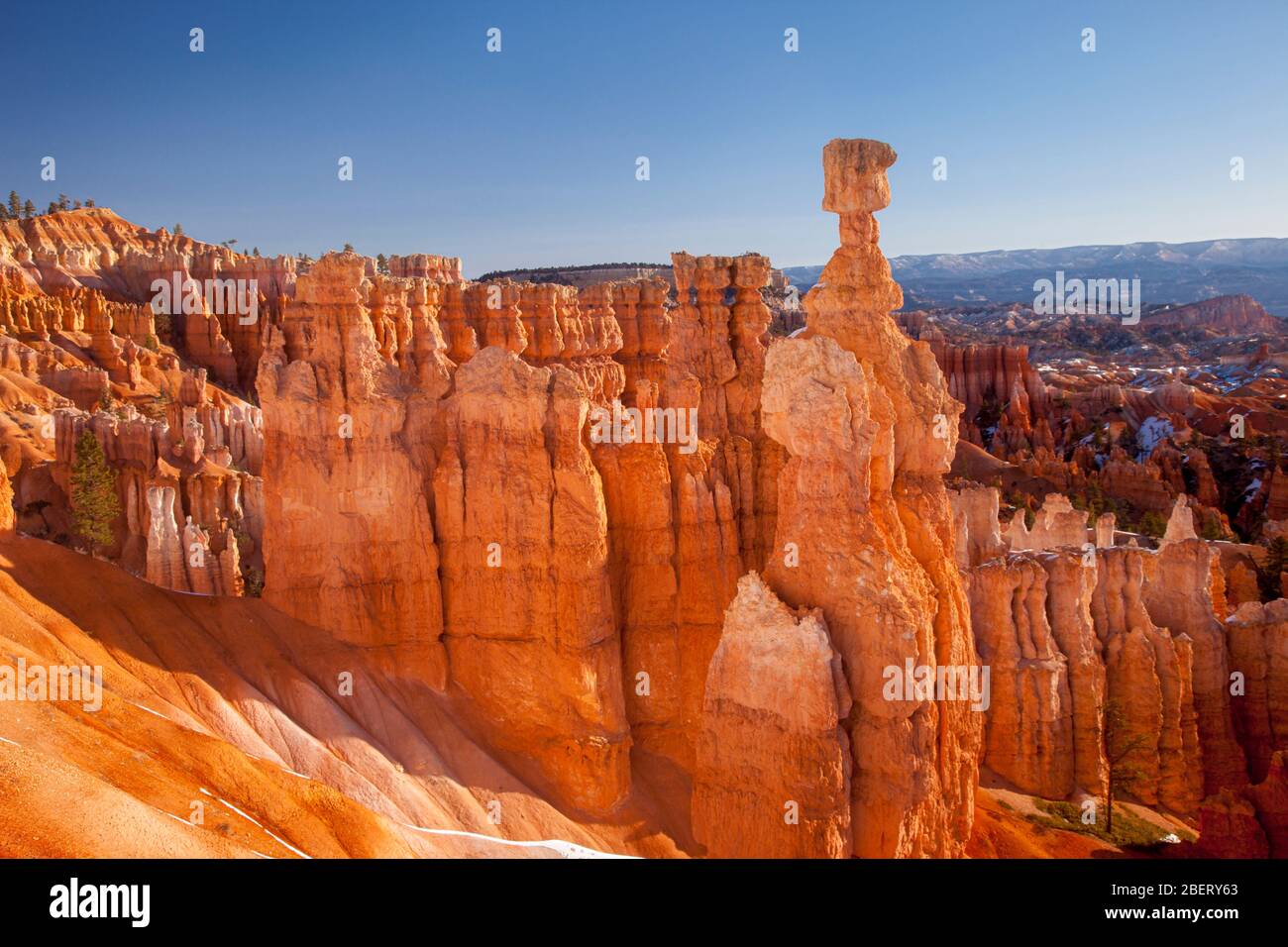 La formation de roches de marteau de Thor's à partir de Sunset point, parc national de Bryce Canyon, Utah, États-Unis Banque D'Images